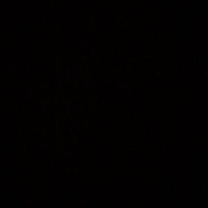 Meet your Posher, Cody